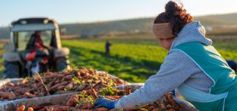 UE și PNUD lansează un proiect de 3 mln. euro pentru consolidarea guvernanței digitale în agricultură