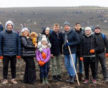 Guvernul a participat la acțiuni de împădurire: 110 mii de puieți au fost plantați