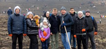 Guvernul a participat la acțiuni de împădurire: 110 mii de puieți au fost plantați