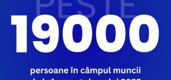 Peste 19 mii de persoane plasate în câmpul muncii de la începutul anului