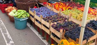 Târguri cu produse autohtone în sectoarele Capitalei