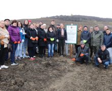 Angajații Curții de Conturi au participat la campania națională „Generația Pădurii – Toamna 2025”