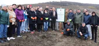 Angajații Curții de Conturi au participat la campania națională „Generația Pădurii – Toamna 2025”