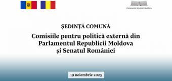 Comisiile pentru politică externă din Parlamentele de la Chișinău și București se vor reuni în ședință comună