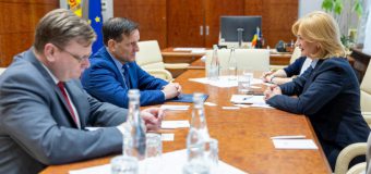 Doina Gherman, în discuție cu Nick Pietrowicz: Prețuim prietenia noastră cu Statele Unite ale Americii