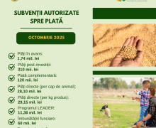 AIPA a autorizat peste 70 mln. lei pentru subvenții, în luna octombrie