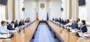 Progresele în realizarea Agendei de reforme, discutate la Guvern