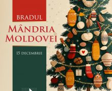 VIDEO// „Bradul Mândria Moldovei” a fost inaugurat la CIE Moldexpo