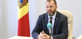 Cadrul legal privind produsele agroalimentare „eco”, „bio”, „ecologic” și „organic” explicat de MAIA