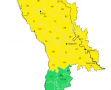 Cod Galben de vânt puternic