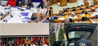 Sinteza activității CNA săptămâna trecută