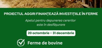 Crescătorii de bovine, ovine și caprine pot depune cereri de finanțare pentru dezvoltarea sectorului zootehnic