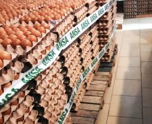 ANSA anuță nimicirea a peste 130 mii ouă retrase de pe piață