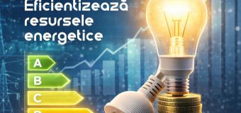 Cetățenii îndemnați să consume rațional energie electrică în perioada sărbătorilor
