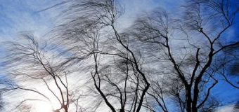 Avertizare meteo: Se prevăd intensificări ale vântului