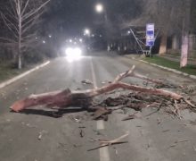 Peste 80 de misiuni au fost desfășurate de salvatorii și pompierii IGSU în ultimele 24 de ore