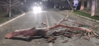 Peste 80 de misiuni au fost desfășurate de salvatorii și pompierii IGSU în ultimele 24 de ore