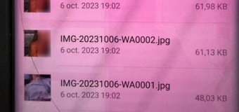 Revenge porn pe canalul de Telegram „Car Vertical.” Bărbat din Nisporeni – trimis în judecată