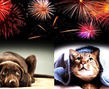 Autoritățile îndeamnă cetățenii să renunțe la focurile de artificii în perioada sărbătorilor