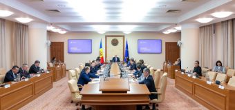 Programul de voluntariat internațional în întreprindere va fi implementat în Republica Moldova