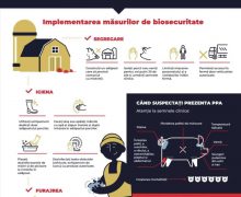 ANSA: Protejăm împreună animalele prin pași simpli dar vitali pentru a ține Pesta Porcină Africană la distanță