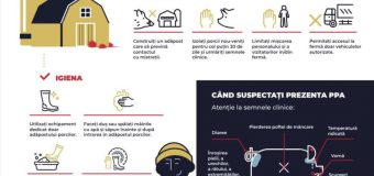 ANSA: Protejăm împreună animalele prin pași simpli dar vitali pentru a ține Pesta Porcină Africană la distanță