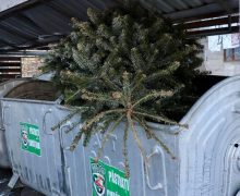 Chișinăuenii sunt îndemnați să nu arunce molizii în containerele pentru deșeuri