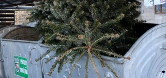 Chișinăuenii sunt îndemnați să nu arunce molizii în containerele pentru deșeuri