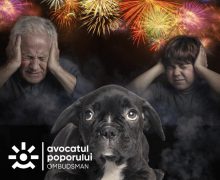 Avocatul Poporului a transmis un demers către Parlament privind aplicarea mai restrictivă a utilizării articolelor pirotehnice