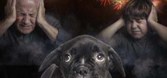 Avocatul Poporului a transmis un demers către Parlament privind aplicarea mai restrictivă a utilizării articolelor pirotehnice