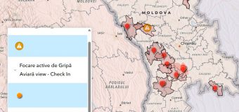 5 focare de pestă porcină africană înregistrate de ANSA