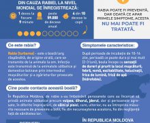 ANSA recomandă autorităților să consolideze acțiunile pentru prevenirea și limitarea răspândirii rabiei