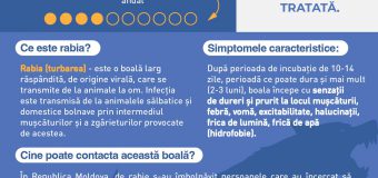 ANSA recomandă autorităților să consolideze acțiunile pentru prevenirea și limitarea răspândirii rabiei