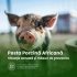 De la începutul anului au fost confirmate 4 cazuri de pestă porcină africană în gospodării și 5 cazuri la mistreți