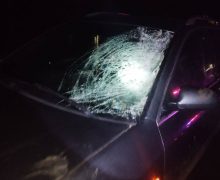 O tânără a tamponat mortal un pieton