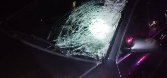 O tânără a tamponat mortal un pieton