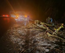 În țară se circulă în condiții de ceață