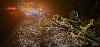 În țară se circulă în condiții de ceață