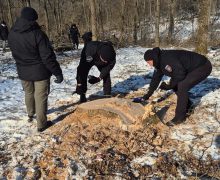 Peste o mie de arbori tăiați ilegal, depistați în urma controlului inopinat la Ocolul Silvic Ghidighici