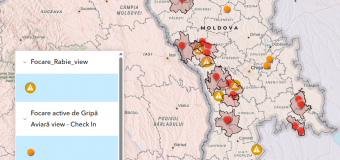 Focare de rabie, gripă aviară și pesta porcină africană înregistrate în țară