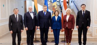 Maia Sandu a avut o întrevedere cu Președinții parlamentelor țărilor baltice