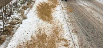 Cod Galben de polei și ghețuș. Toate serviciile municipale mobilizate în teren