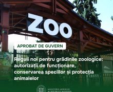 Reguli noi pentru grădinile zoologice: autorizații de funcționare, conservarea speciilor și protecția animalelor