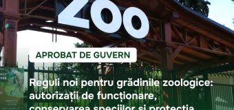 Reguli noi pentru grădinile zoologice: autorizații de funcționare, conservarea speciilor și protecția animalelor