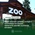 Reguli noi pentru grădinile zoologice: autorizații de funcționare, conservarea speciilor și protecția animalelor