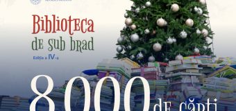 Peste 8 mii de cărți au fost colectate în cadrul campaniei „Biblioteca de sub brad”