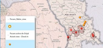 2 focare de pestă porcină africană și 3 de rabie înregistrate în țară