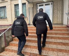 Percheziții într-un dosar de delapidare a fondurilor publice destinate Programului Național de Extindere și Reabilitare a Pădurilor