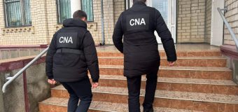 Percheziții într-un dosar de delapidare a fondurilor publice destinate Programului Național de Extindere și Reabilitare a Pădurilor