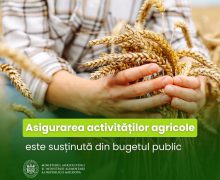 Asigurarea activităților agricole este susținută din bugetul public